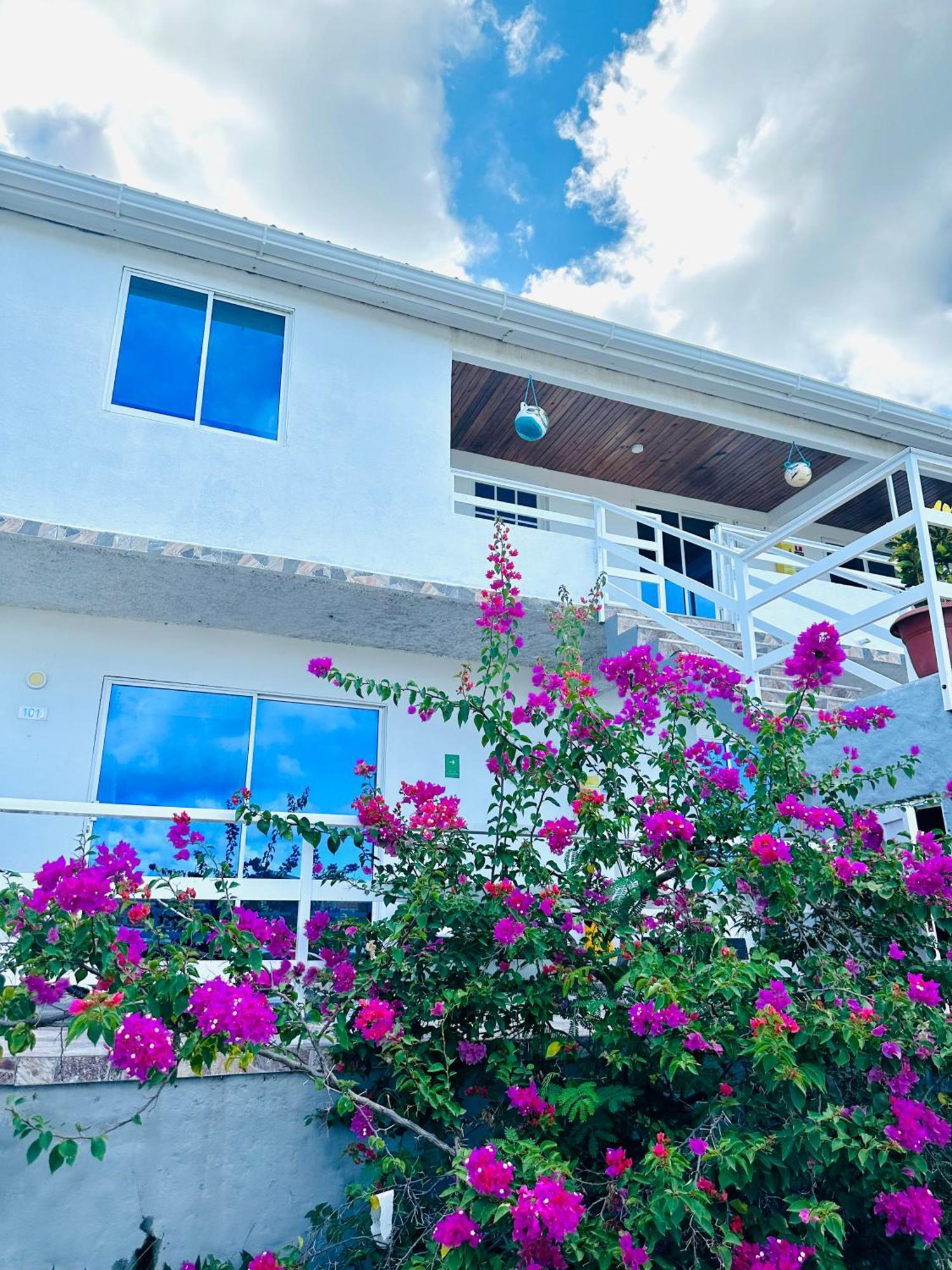 Posada Lkjay Providencia Isla ภายนอก รูปภาพ